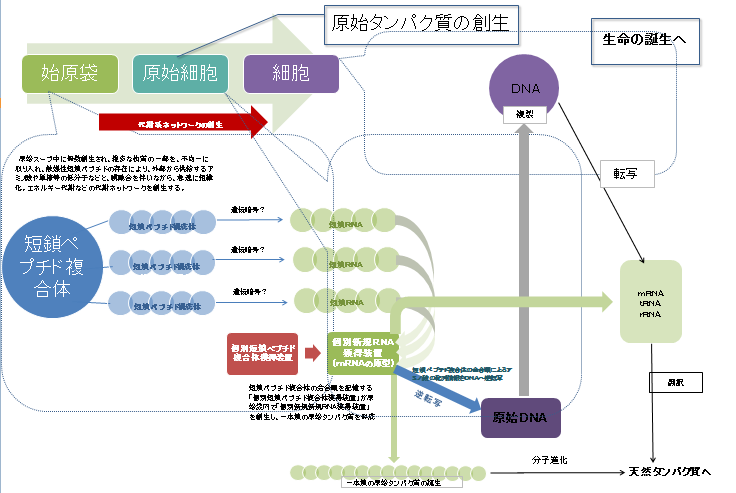 peptideworld masuda net