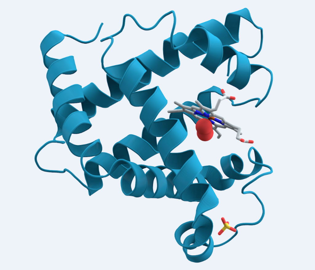 タンパク質構造の構成単位について 蒼き地球の誕生〜短鎖ペプチド仮説〜新たなるタンパク質ワールド仮説